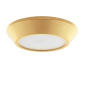 Потолочный светодиодный светильник Lightstar Urbano mini 214734