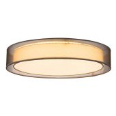 Потолочный светодиодный светильник Globo Teo 15190D4