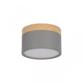 Накладной светодиодный светильник Loft IT Grape 10162 Grey