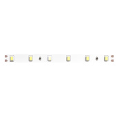Светодиодная лента 24V 4,8W/m 6500К 5м Arte Lamp TAPE A2406008-03-6K