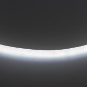 Гибкий неон Lightstar 9,6W/m 120LED/m холодный белый LS720 430204
