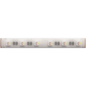 Светодиодная лента 24V 14,4W/m RGB+W 3100К 5м Arte Lamp AQUA TAPE A2406012-04-RGB3K