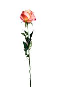 8J-11GS0069-2 Роза нежно-розовая 71 см (24)