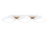 Светильник потолочный Ambrella light COMFORT FL4877