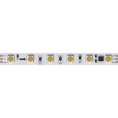 Светодиодная лента 24V 14,4W/m 3100К 5м Arte Lamp SPI A2406010-03-3K