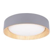Потолочный светодиодный светильник Loft IT Coin 10202 Grey