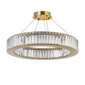 Подвесной светодиодный светильник Arti Lampadari Anzio L 1.5.60.100 G