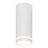 Потолочный светодиодный светильник Escada 20009SMU/02LED SWH
