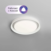 Потолочный светодиодный светильник Denkirs DK6516-WH/1