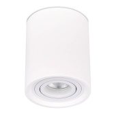 Потолочный светильник ST Luce ST156.502.01