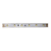Светодиодная влагозащищенная лента DesignLed 4,8W/m 60LED/m 3528SMD нейтральный белый 5M 005703