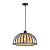 Подвесной светильник Arte Lamp WOODSTOCK A7071SP-1BK