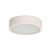 Настенный потолочный светильник Kanlux JASMIN 270-W 23123