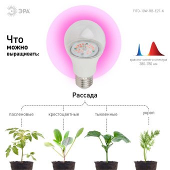 Лампа светодиодная для растений ЭРА E27 10W 1310K прозрачная FITO-10W-RB-E27-K Б0039069