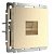 Розетка Ethernet RJ-45 Werkel шампань рифленый W1181010 4690389160608