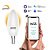 Лампа светодиодная диммируемая Gauss Smart Home E14 5W 2700K матовая 1100112