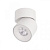 Накладной светодиодный светильник Loft IT Tictac 10180 White