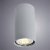 Потолочный светильник Arte Lamp A1516PL-1GY