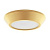 Потолочный светодиодный светильник Lightstar Urbano mini 214734