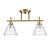 Потолочная люстра Lumion Comfi Vivian 8188/2C