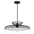 Подвесной светильник Arte Lamp CASTELLO A7066SP-1BK