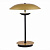 Настольная лампа ST Luce ARMONICO SL6502.204.01