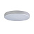 Потолочный светодиодный светильник Loft IT Axel 10002/24 white