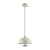 Подвесной светодиодный светильник Lumion Ledio Globe 6567/6L