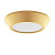 Потолочный светодиодный светильник Lightstar Urbano mini 214732