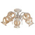 Потолочная люстра Toplight Miranda TL5690D-05WG