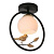 Потолочный светильник Escada 1113/1P Black