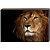Постер на подрамнике Toplight 60x90х4см TL-D4042