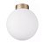 Настенно-потолочный светильник Lightstar Globo 812023