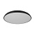 Потолочный светильник LOFT IT Dime 10371 Black