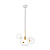Подвесной светильник Loft IT Bolle 2027-P6 mini