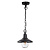 Уличный подвесной светильник Odeon Light Nature Campa 4965/1