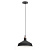 Подвесной светильник ЭРА Loft PL2 BK/RC Б0037413
