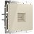 Розетка Ethernet RJ-45 Werkel слоновая кость W1181003 4690389155857