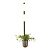 Настенный светильник Odeon Light Walli Flower 4681/2WA