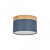 Накладной светодиодный светильник Loft IT Grape 10162 Blue