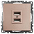 Розетка 2хUSB Stekker Катрин шампань GLS10-7115-02 39602