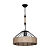 Подвесной светильник Toplight Bathsheba TL1642H-01BK