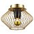 Потолочный светильник Lussole Loft Brooks GRLSP-8248