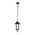 Уличный подвесной светильник Ambrella light Garden ST2029