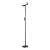 Торшер Lussole Carmel LSP-0901-SE