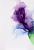 54STR-AQUARELLE1 Постер "Акварель-1" 70*100см, багет мат.серебро