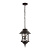 Уличный подвесной светильник Loft IT Prato 100021P