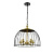Подвесная люстра Vele Luce Florian VL5062P05