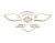 Потолочная светодиодная люстра Ambrella light Ice FA282