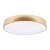 Потолочный светодиодный светильник Loft IT Flims 10228/A